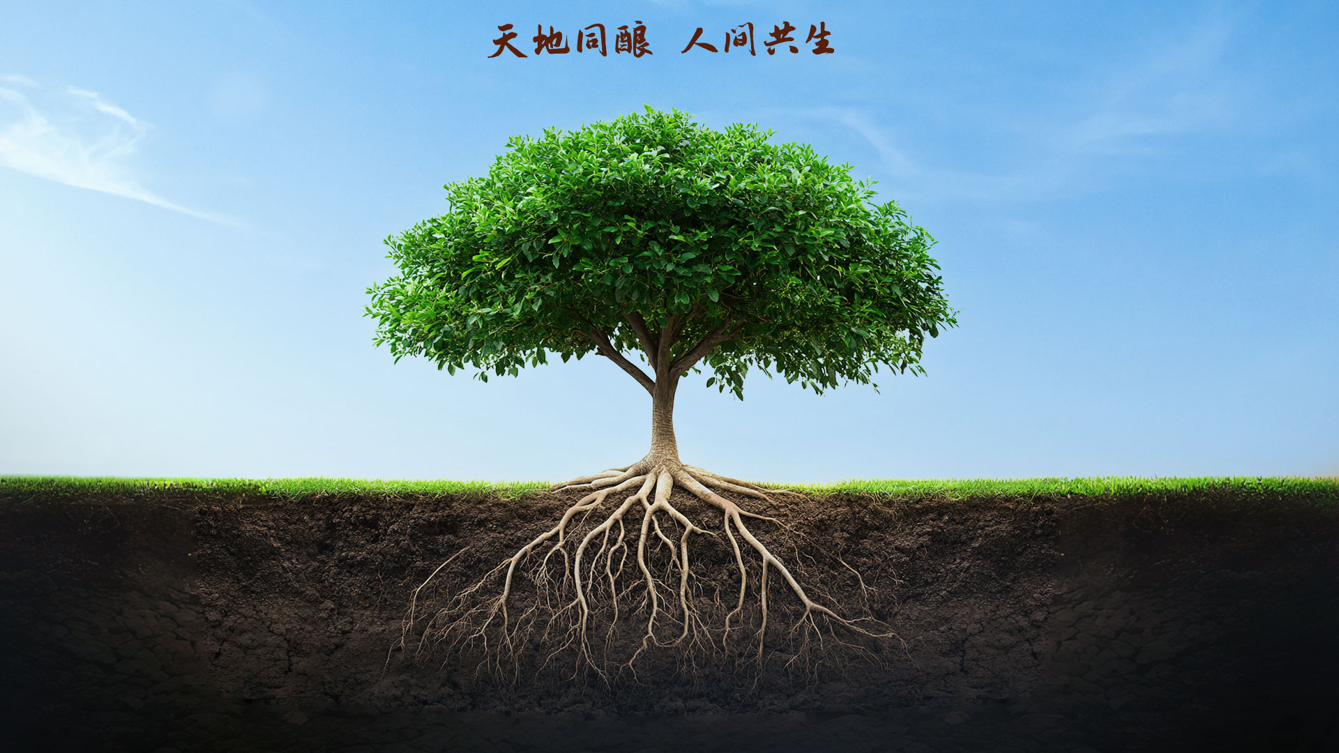 九州ku酷游·(中国集团)官方网站