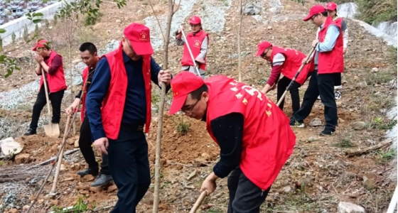 村企共建，共植先锋林