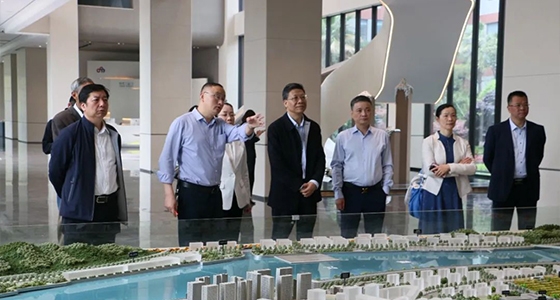 省人大常委会委员陈根芳调研沙巴公司官网集团