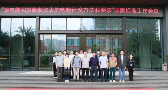 国家标准工作组会议在沙巴公司官网召开